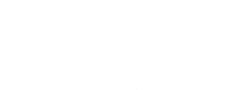 WebDevLite - Website Development for all your website needs